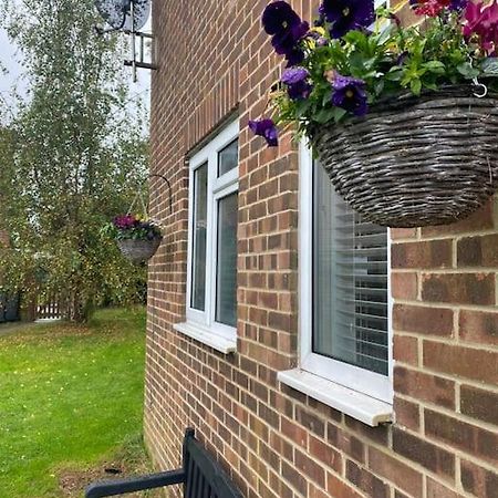 Cosy Studio Apartment Waterlooville Εξωτερικό φωτογραφία