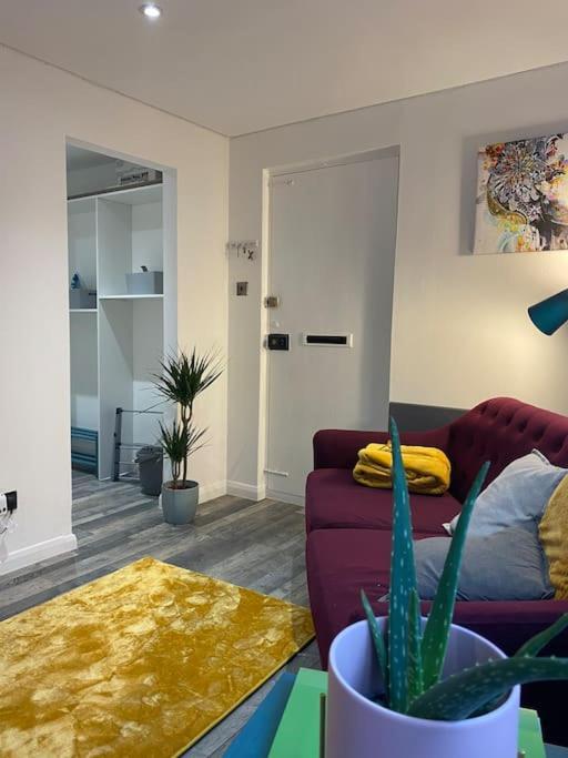 Cosy Studio Apartment Waterlooville Εξωτερικό φωτογραφία