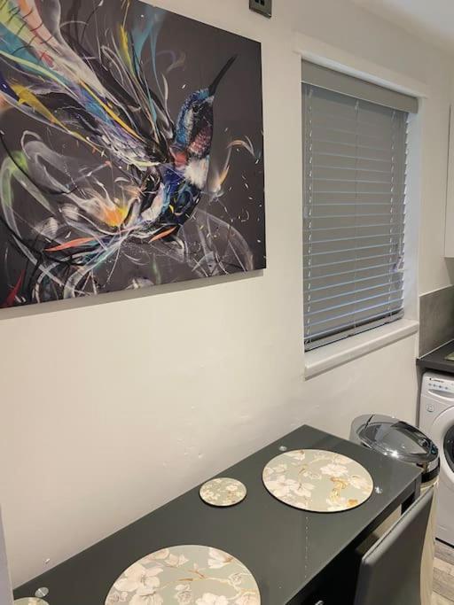 Cosy Studio Apartment Waterlooville Εξωτερικό φωτογραφία